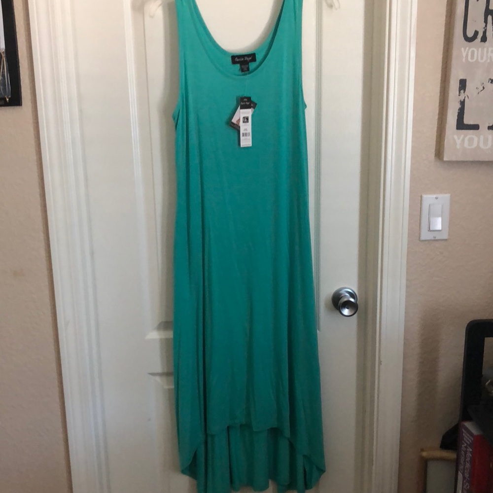 L/ Xl Maxi dress